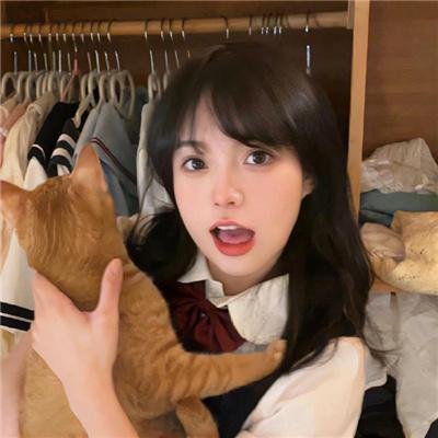 小狐狸维克 在线观看